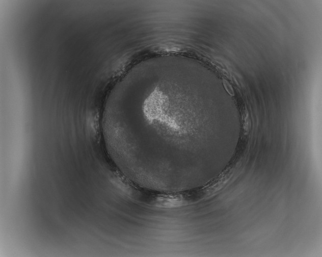 X0000112350559200908271235