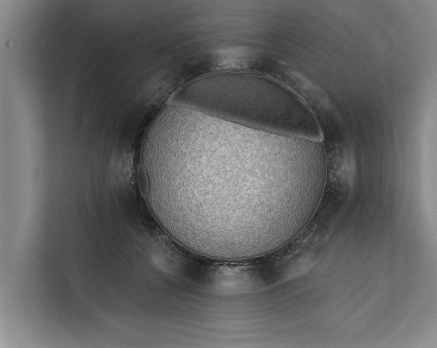 X0000112350560200908271235