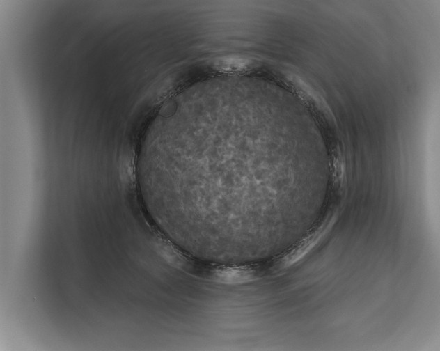 X0000112350561200908271235