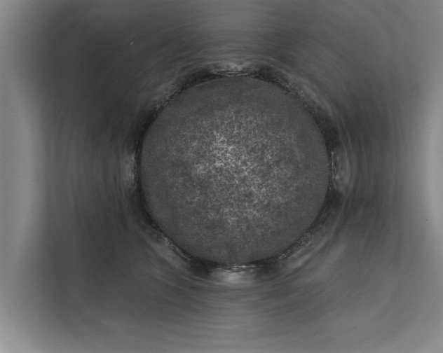 X0000112350563200908271235