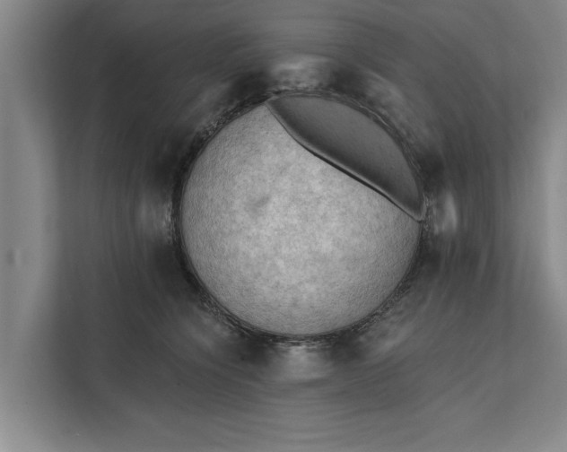 X0000112350564200908271235