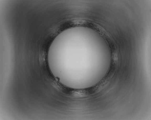 X0000112350567200908271235