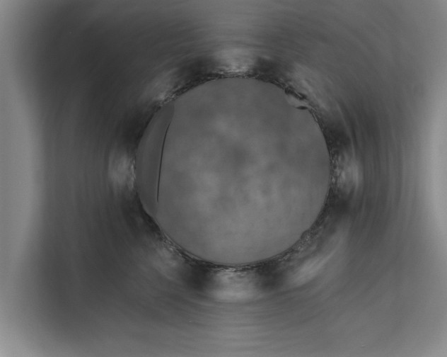 X0000112350568200908271235