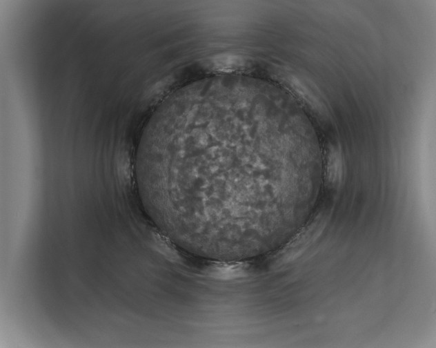 X0000112350569200908271235