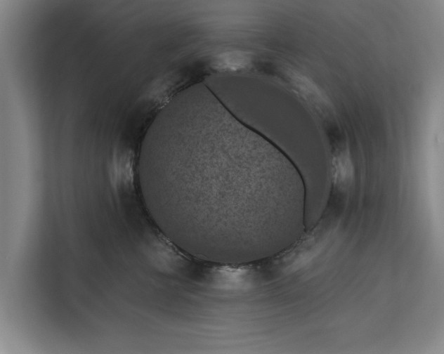 X0000112350570200908271235