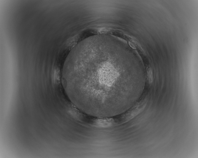 X0000112350571200908271235