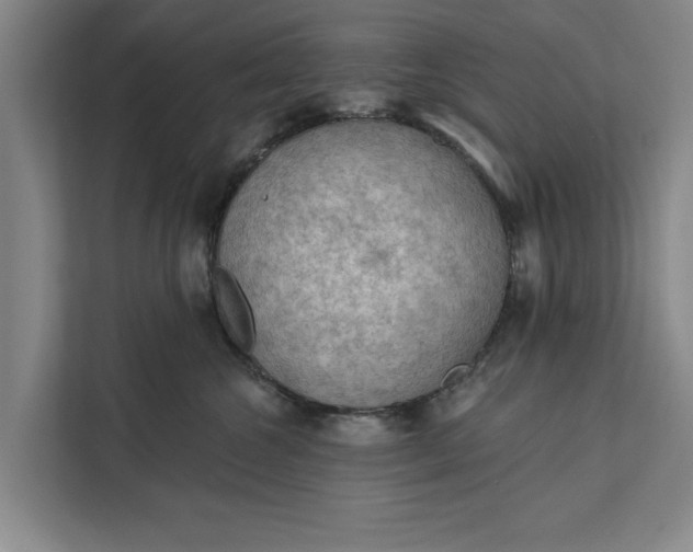 X0000112350572200908271235