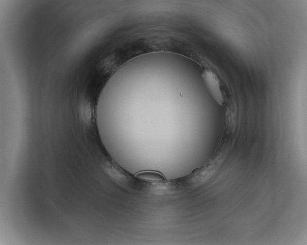 X0000112350574200908271235