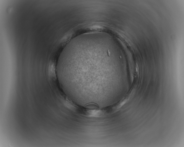 X0000112350575200908271235