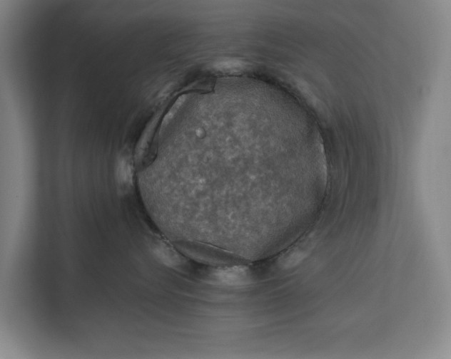 X0000112350576200908271235