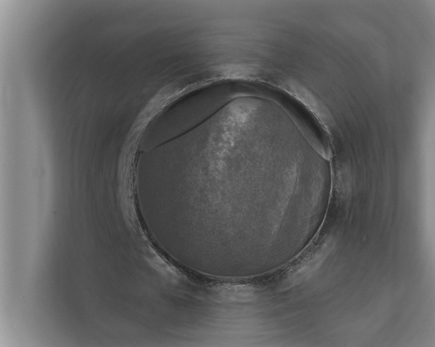 X0000112350577200908271235