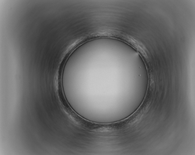 X0000112350578200908271235