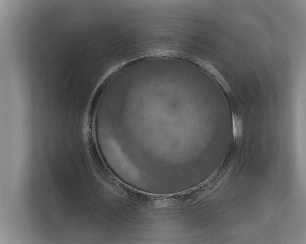 X0000112350579200908271235