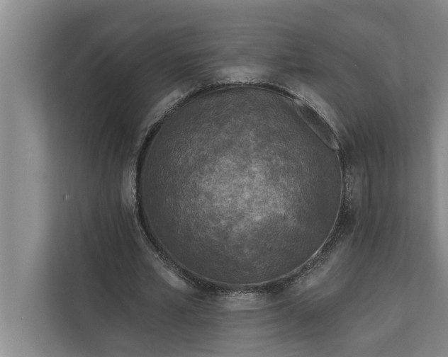 X0000112350581200908271235