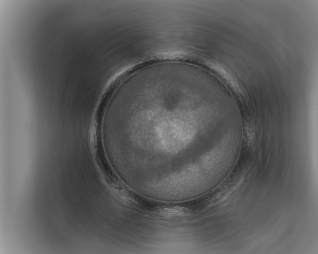 X0000112350583200908271235