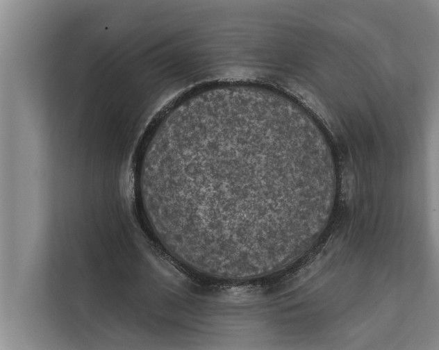 X0000112350584200908271234