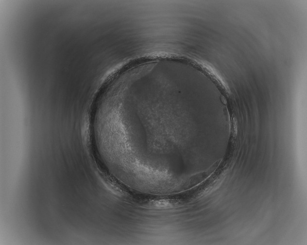 X0000112350588200908271234