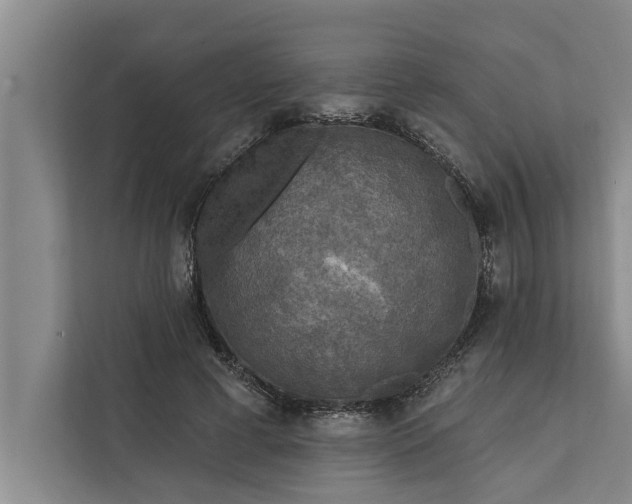 X0000112350593200908271234