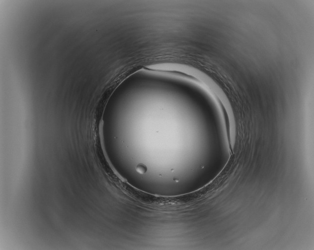 X0000112350599200908271234