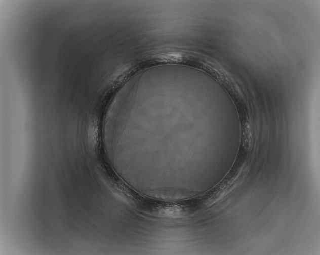 X0000112350600200908271234