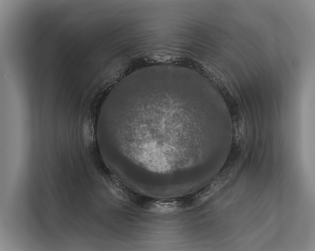 X0000112350606200908271234