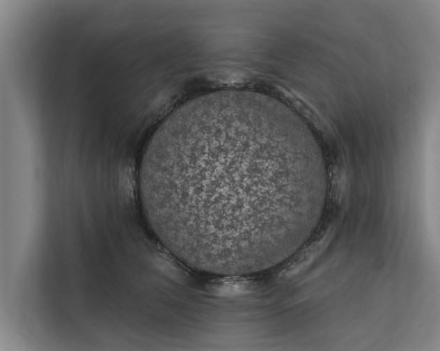 X0000112350612200908271234