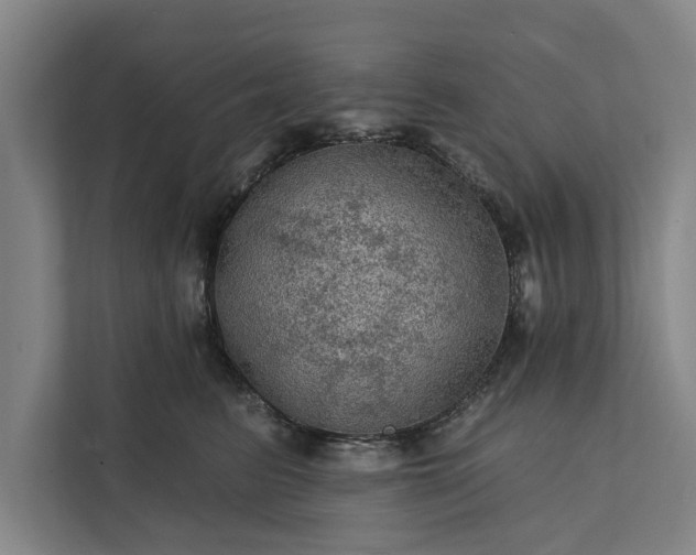 X0000112350615200908271234