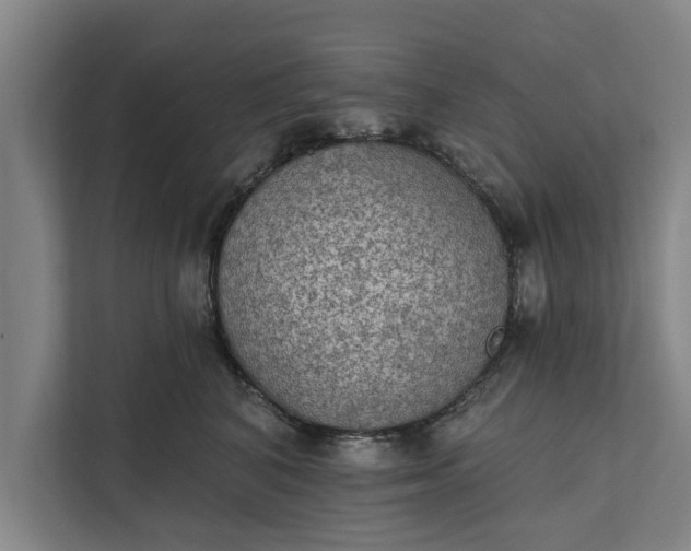 X0000112350616200908271234