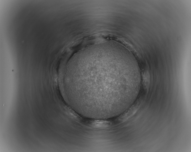 X0000112350617200908271234