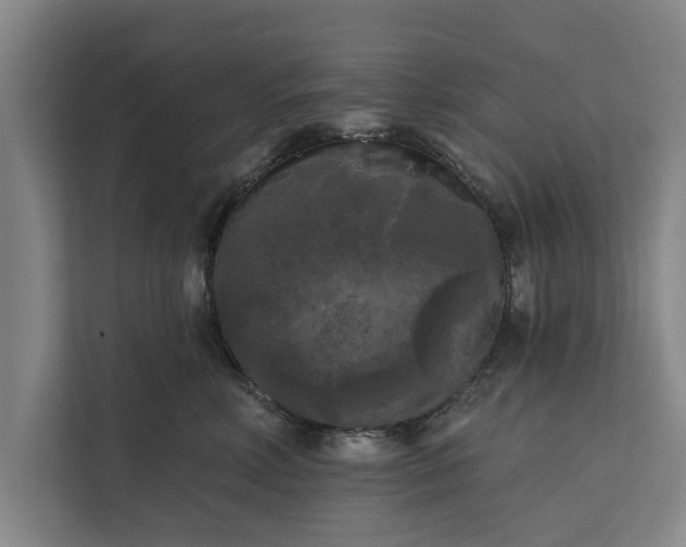 X0000112350618200908271234