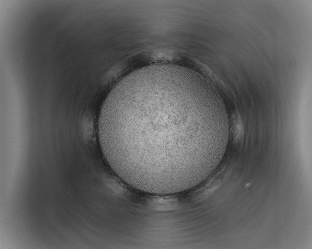 X0000112350619200908271234