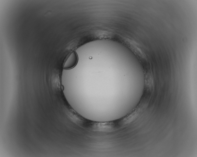 X0000112350622200908271234