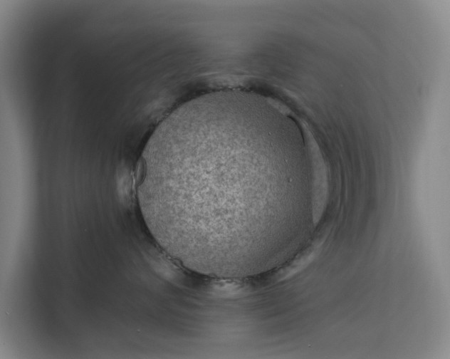 X0000112350624200908271234