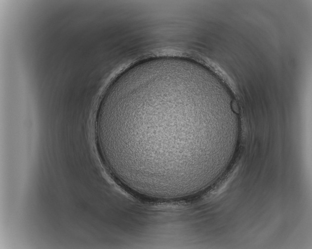 X0000112350625200908271233