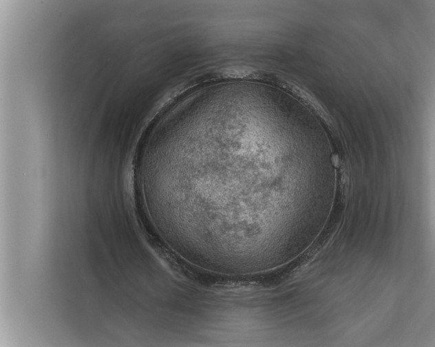 X0000112350626200908271233