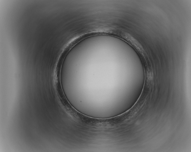 X0000112350628200908271233