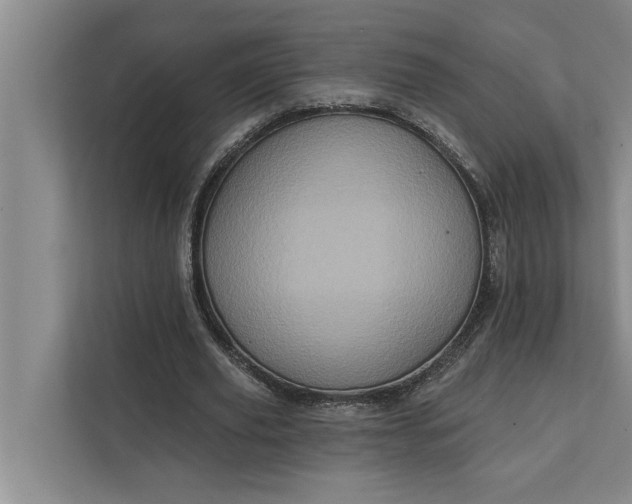 X0000112350629200908271233