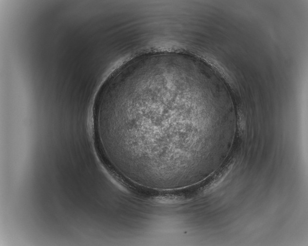 X0000112350630200908271233