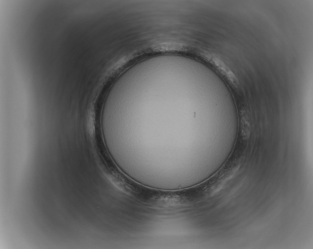 X0000112350631200908271233