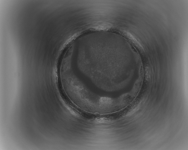 X0000112350634200908271233