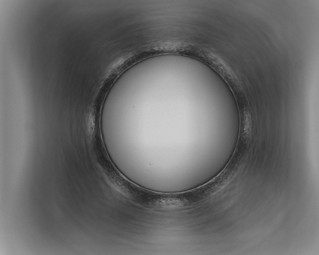 X0000112350636200908271233