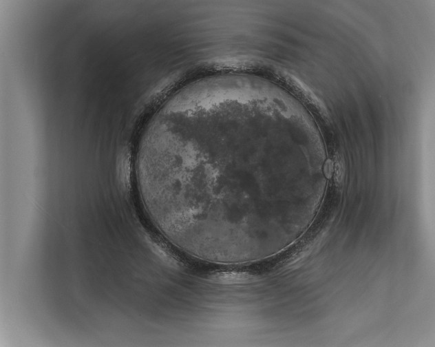 X0000112350637200908271234