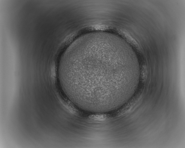 X0000112350639200908271234