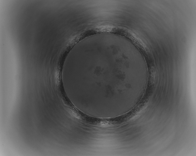 X0000112350641200908271234