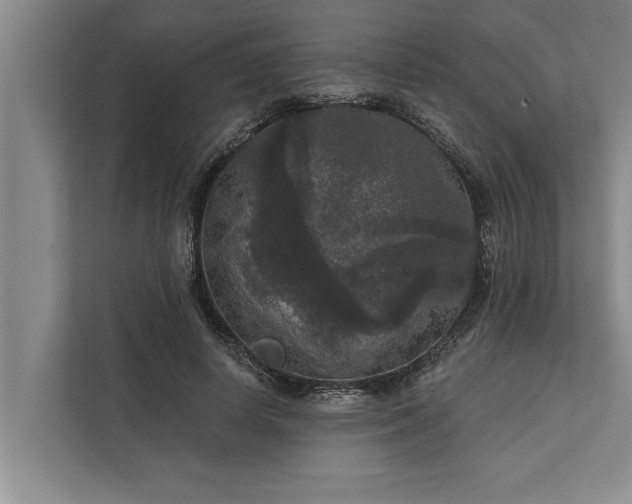 X0000112350642200908271234