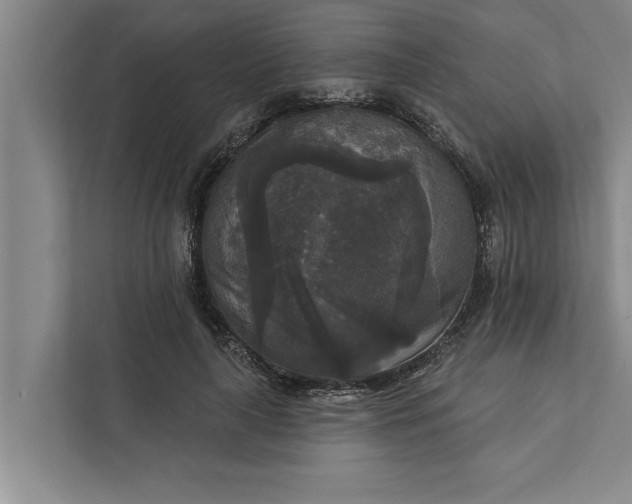 X0000112350643200908271234