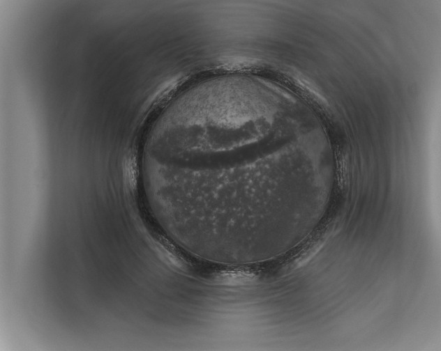 X0000112350644200908271234