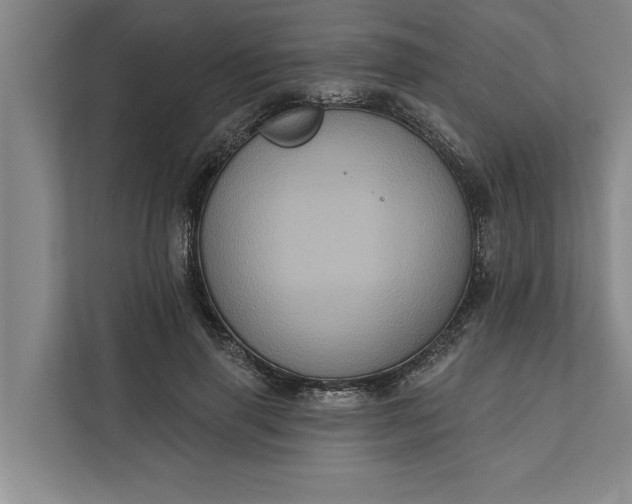 X0000112350645200908271234