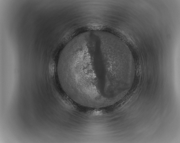 X0000112350647200908271234