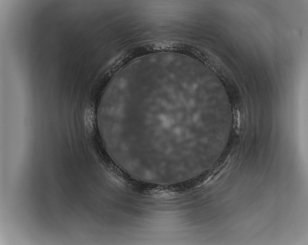 X0000112350648200908271234